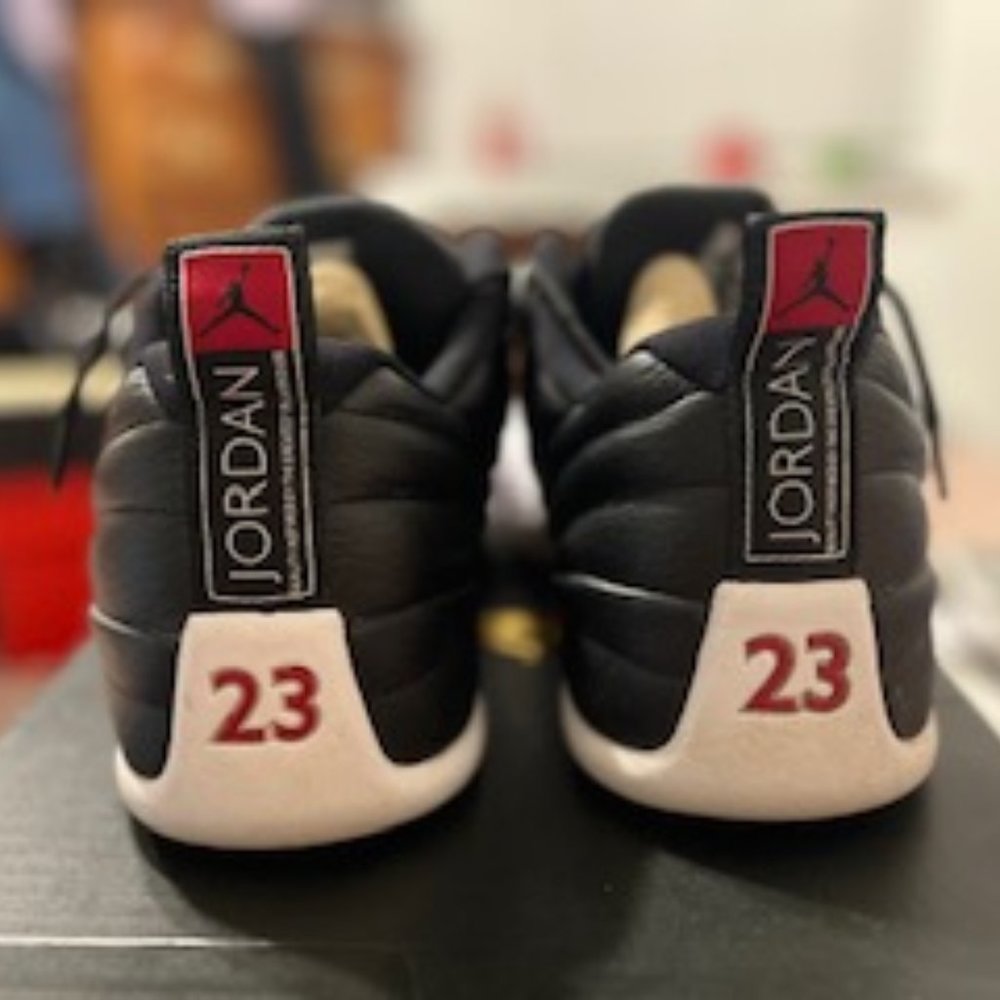 Air Jordan 12 Retro Low